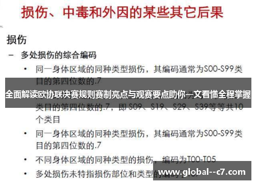 全面解读欧协联决赛规则赛制亮点与观赛要点助你一文看懂全程掌握